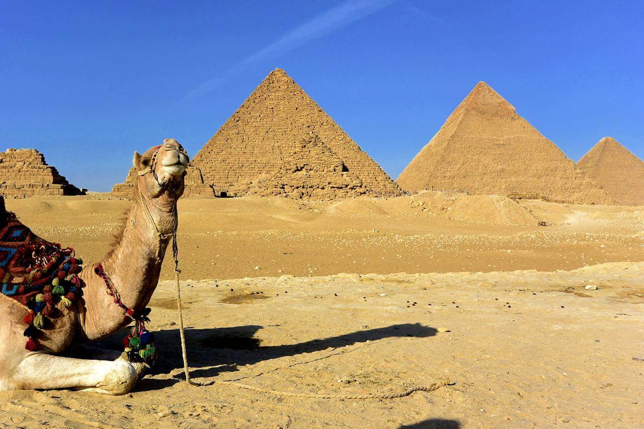Activities to do in Egypt